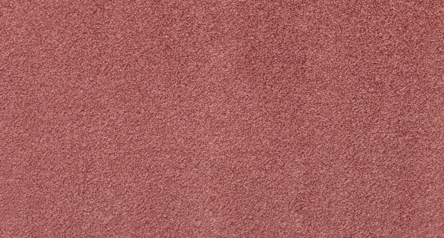 Moquette velours OBSESSION, col vieux rose, rouleau 5.00 m
