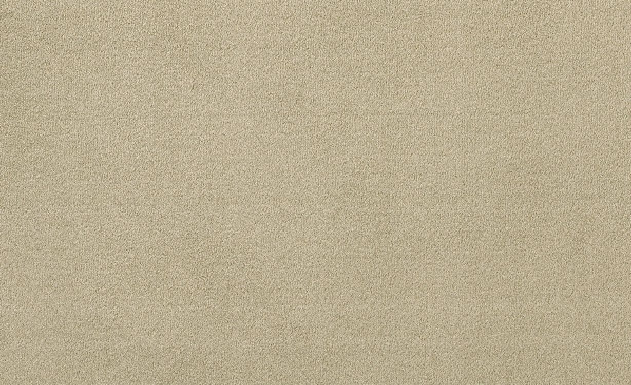 Moquette velours Jane, col Beige, rouleau 4.00 m