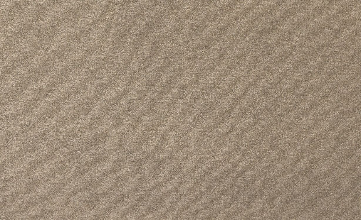 Moquette velours Jane, col Taupe, rouleau 4.00 m