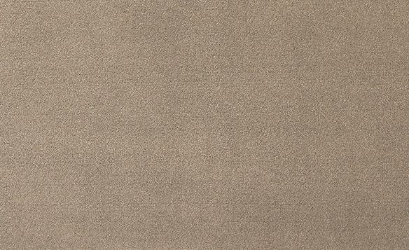 Moquette velours Jane, col Taupe, rouleau 4.00 m