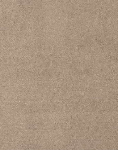 Moquette velours Jane, col Taupe, rouleau 4.00 m