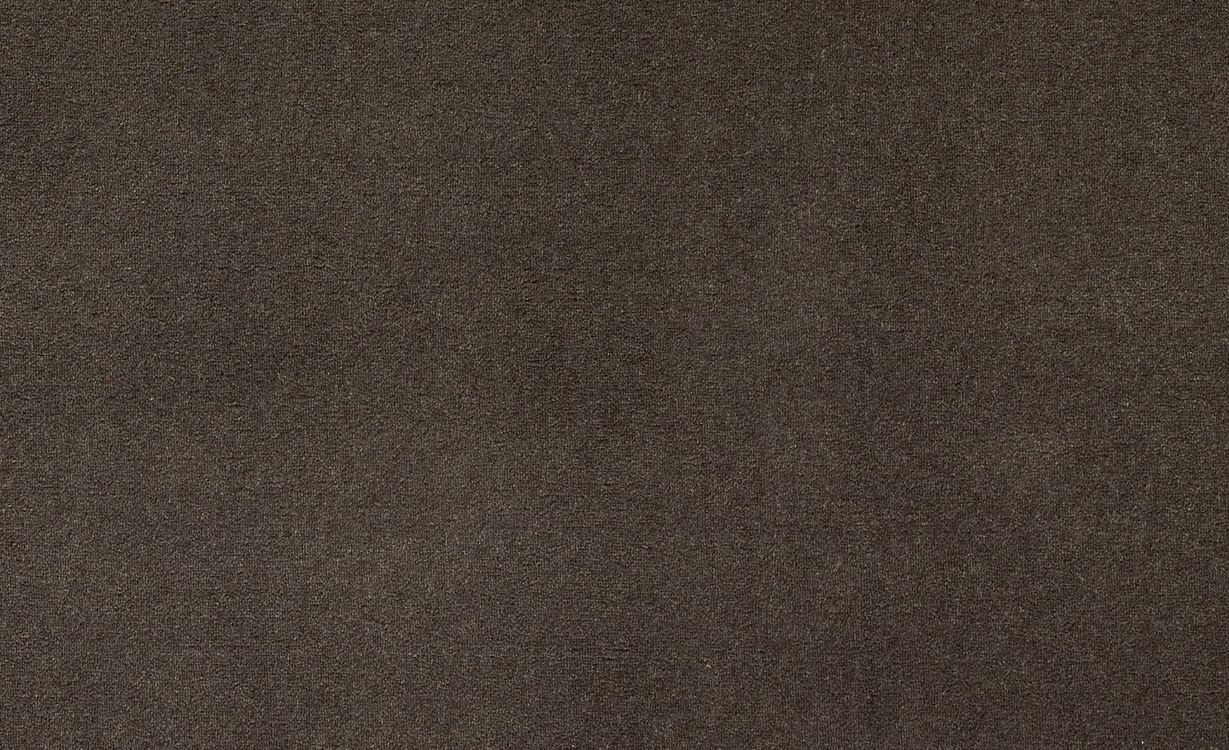 Moquette velours Jane, col Gris anthracite , rouleau 4.00 m