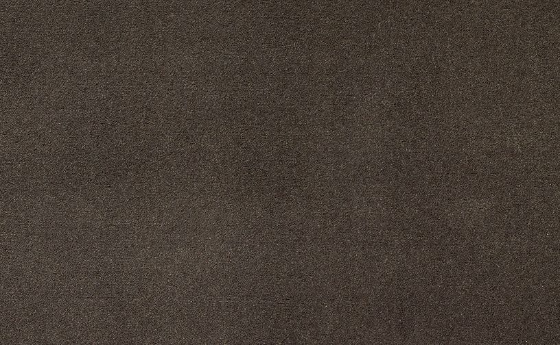 Moquette velours Jane, col Taupe, rouleau 4.00 m