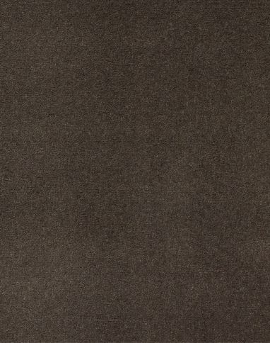 Moquette velours Jane, col Gris anthracite , rouleau 4.00 m