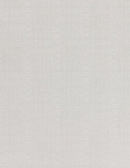 Papier peint GHANA BN International, Vinyle sur intissé décor , gris argent