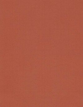 Papier peint TOILE BN International, Vinyle sur intissé décor Unis / Faux unis, brique