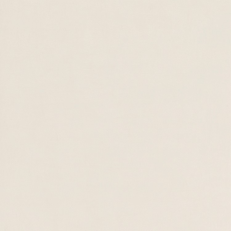 Papier peint BETON Lutece, Vinyle sur intissé décor Unis / Faux unis, gris