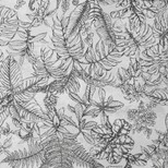 Papier peint HERBIER Decoprint, Vinyle sur intissé décor Floral / Végétal, noir