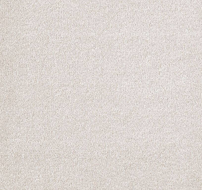 Moquette velours WILD 4M, col blanc, rouleau 4.00 m