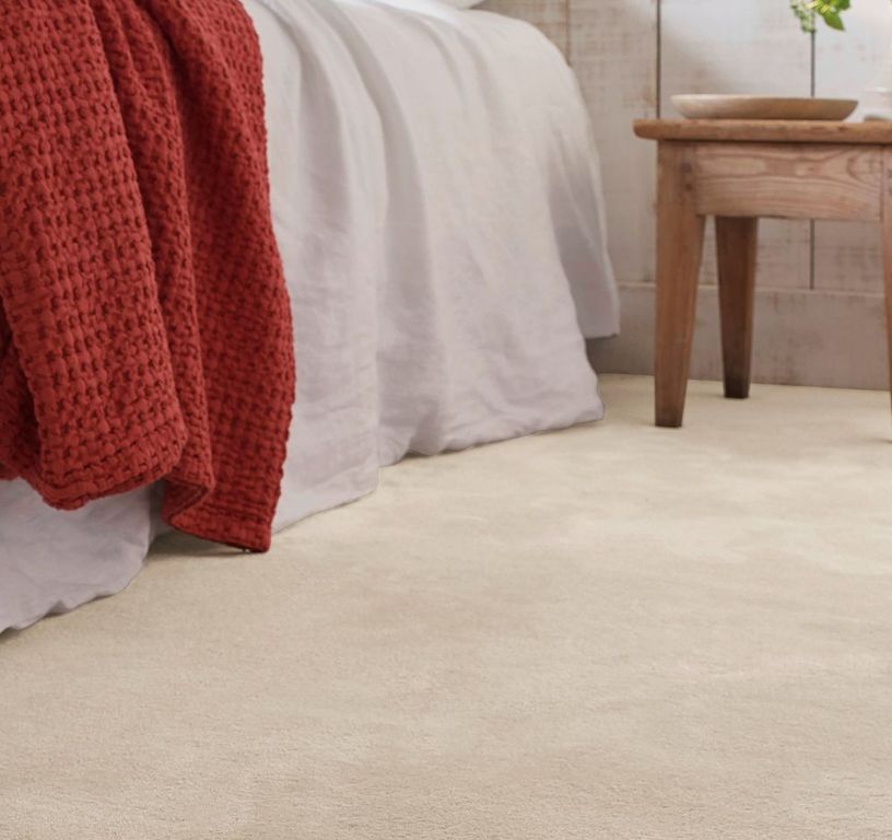 Moquette velours WILD 4M, col ecru, rouleau 4.00 m