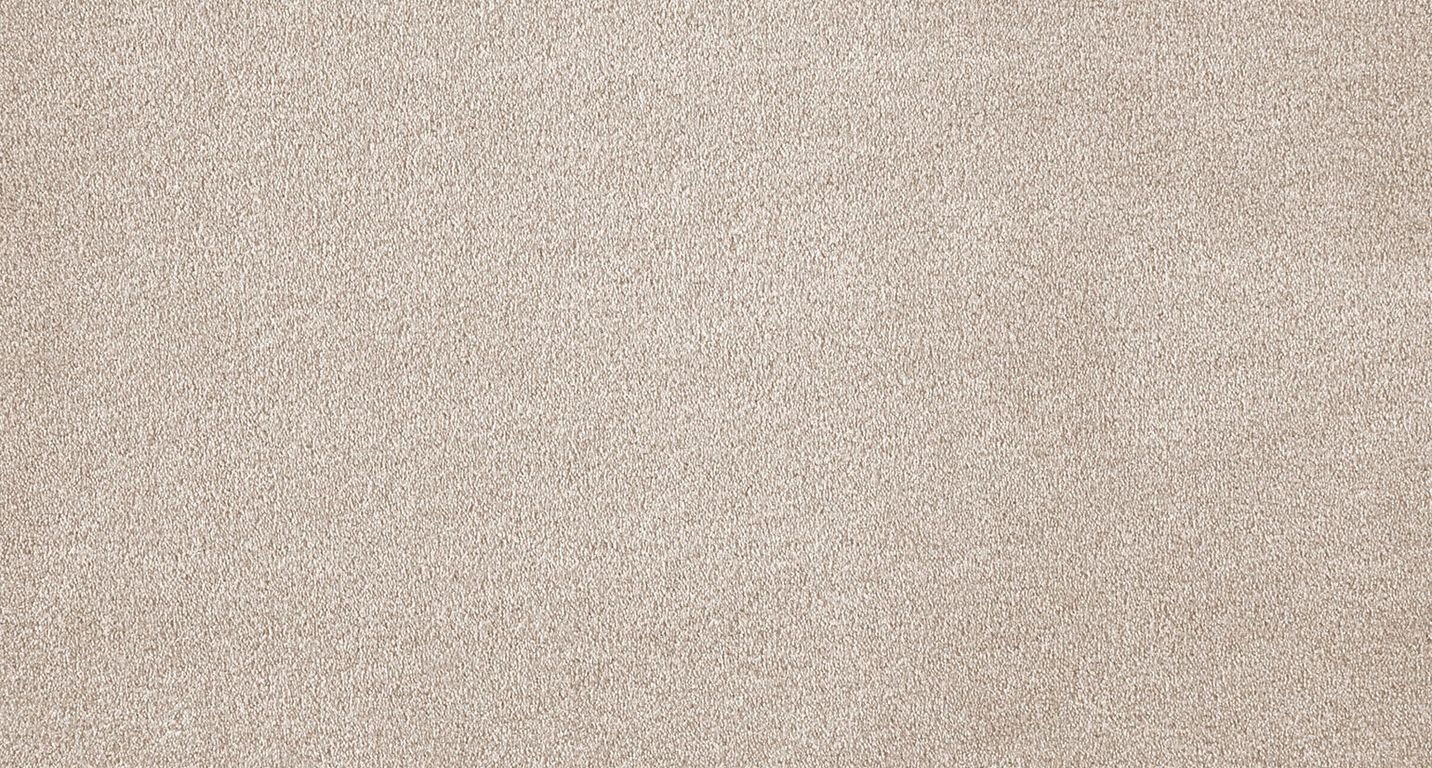 Moquette velours WILD 4M, col ecru, rouleau 4.00 m