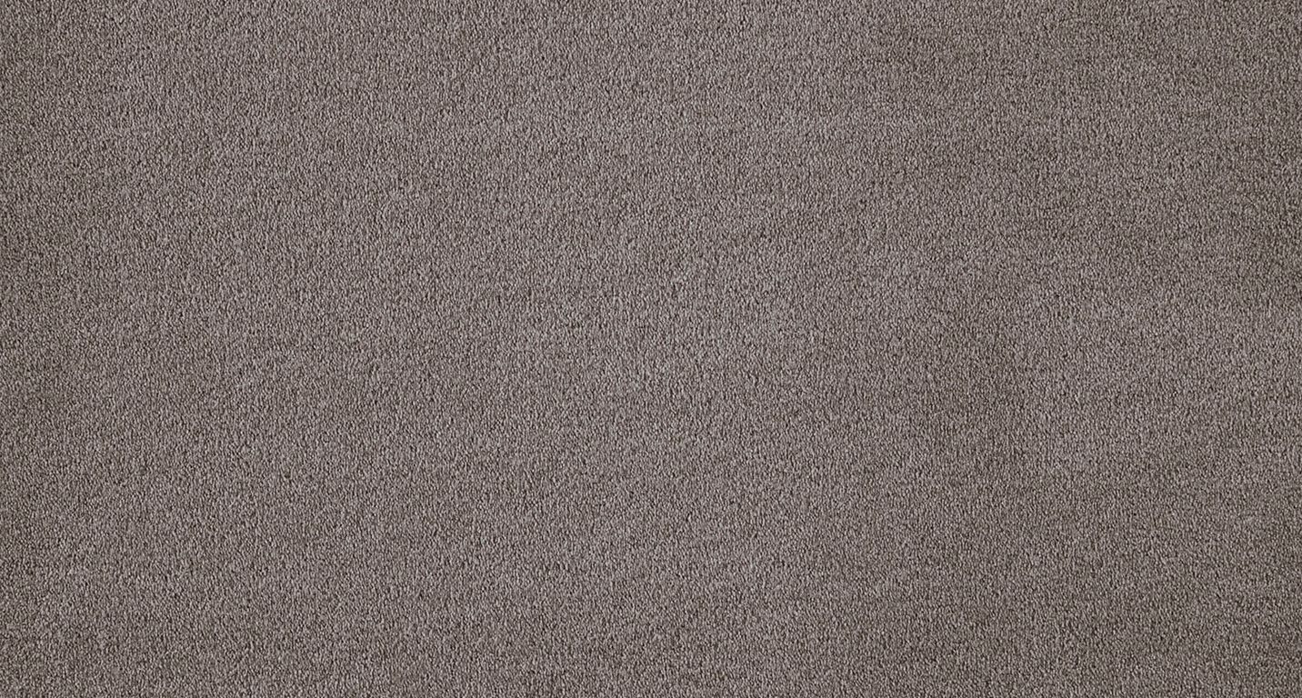 Moquette velours WILD 4M, col taupe foncé, rouleau 4.00 m