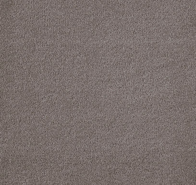 Moquette velours WILD 4M, col taupe foncé, rouleau 4.00 m