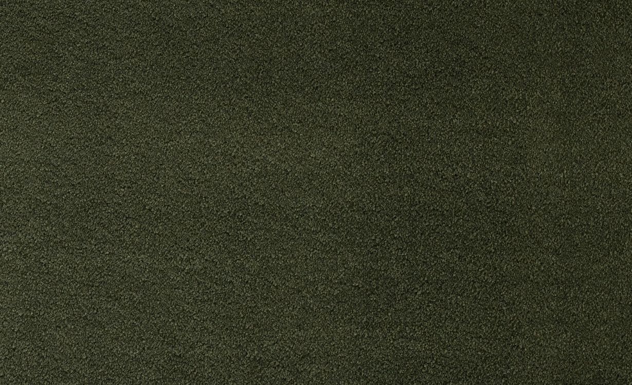 Moquette velours SOFTNESS 4M, col Vert, rouleau 4.00 m
