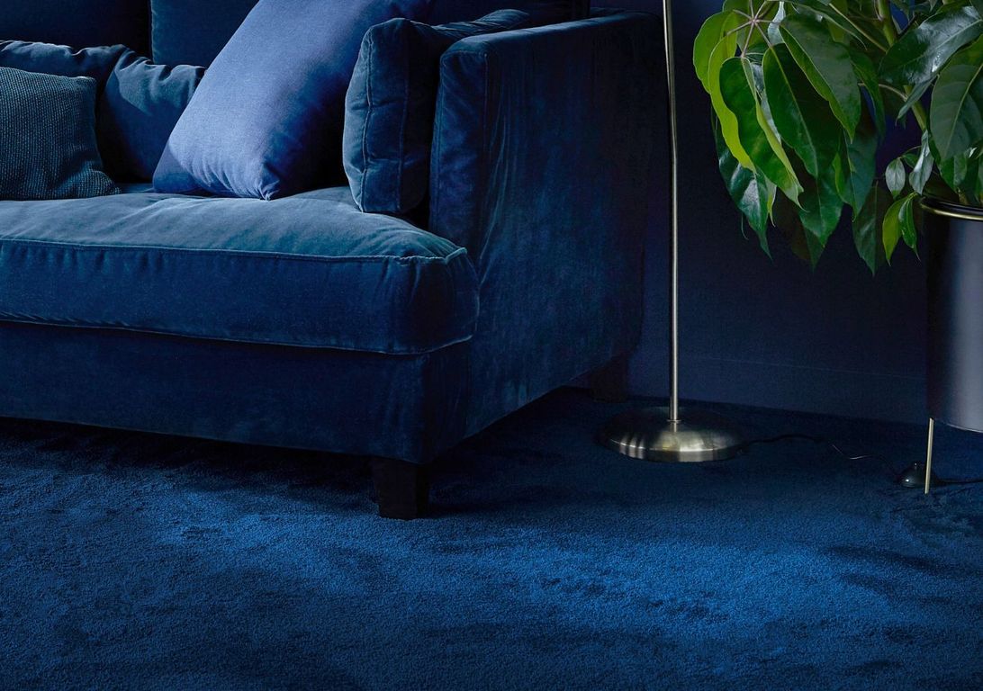 Moquette velours SOFTNESS 4M, col bleu marine, rouleau 4.00 m