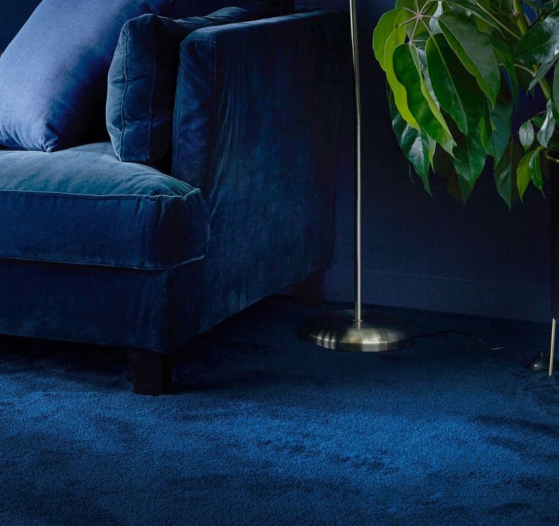 Moquette velours SOFTNESS 4M, col bleu marine, rouleau 4.00 m