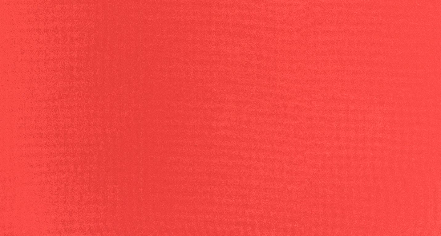 Moquette aiguilletée JANEIRO, col rouge, rouleau 4.00 m