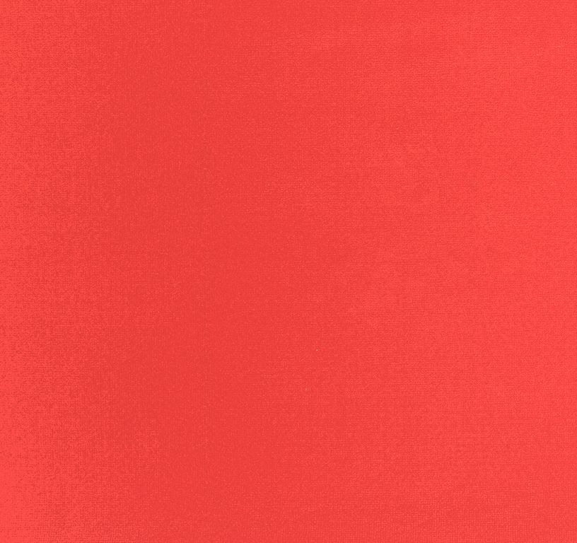 Moquette aiguilletée JANEIRO, col rouge, rouleau 4.00 m