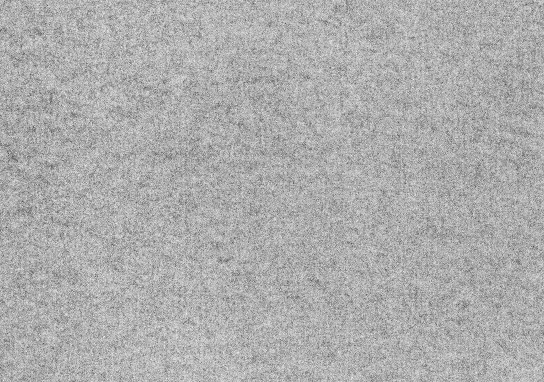 Moquette aiguilletée JANEIRO, col gris clair, rouleau 4.00 m