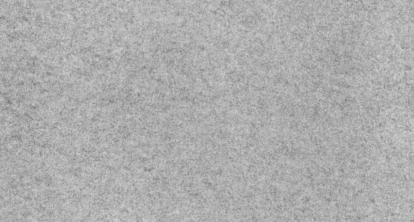 Moquette aiguilletée JANEIRO, col gris clair, rouleau 4.00 m