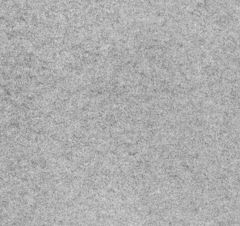 Moquette aiguilletée JANEIRO, col gris clair, rouleau 4.00 m