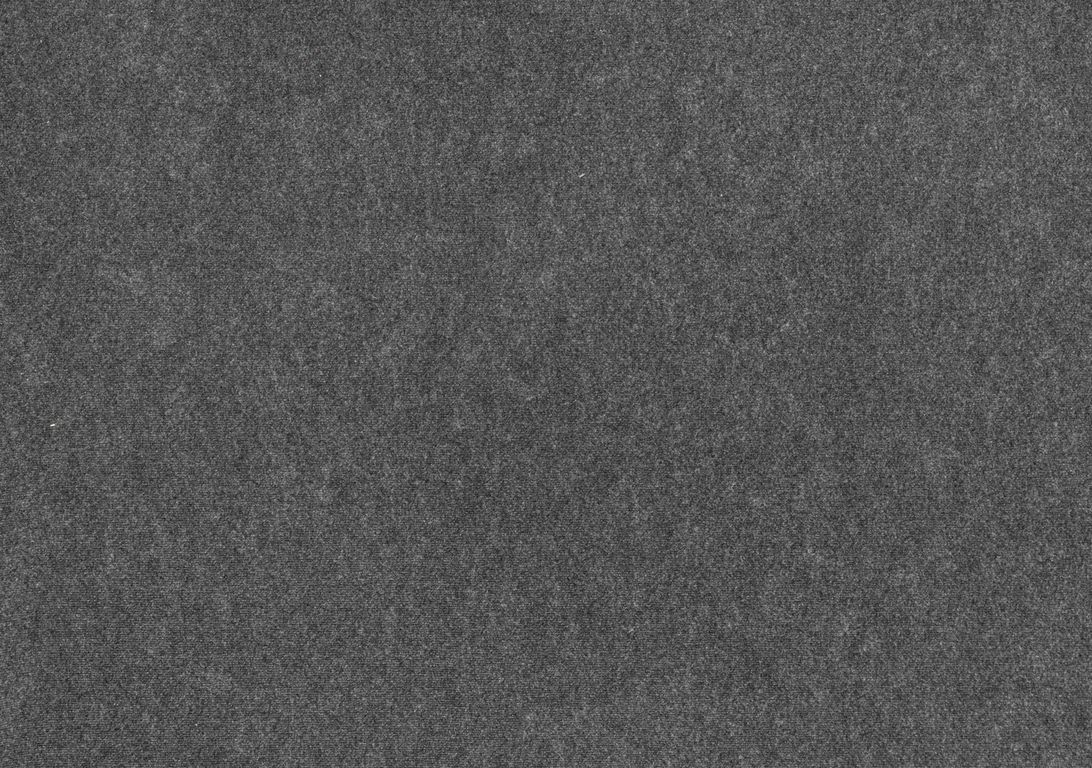 Moquette aiguilletée JANEIRO, col anthracite, rouleau 4.00 m