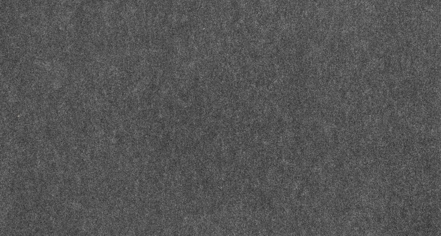 Moquette aiguilletée JANEIRO, col anthracite, rouleau 4.00 m