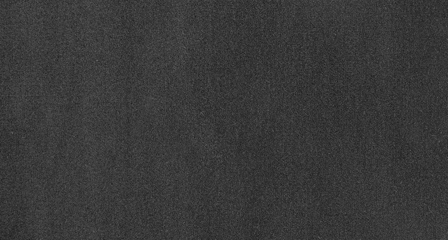 Moquette aiguilletée JANEIRO, col noir, rouleau 4.00 m