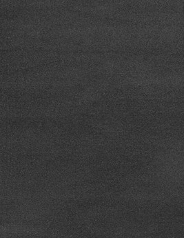 Moquette aiguilletée JANEIRO, col gris clair, rouleau 4.00 m