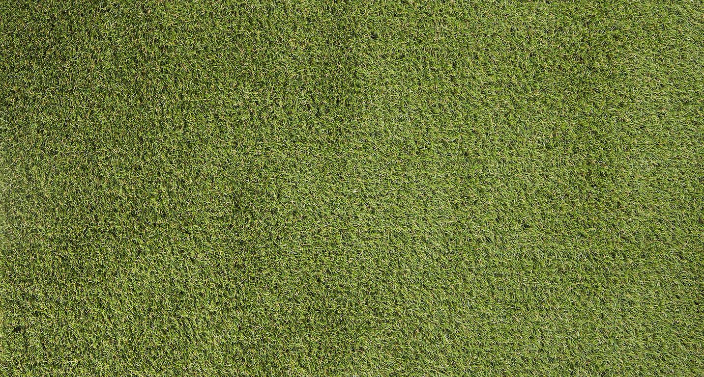 Gazon synthétique PALMA 4M, épaisseur 22.00mm, rouleau 4.00 m