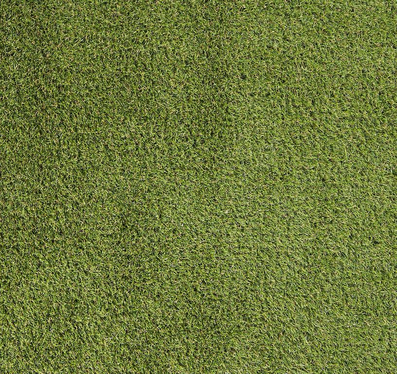 Gazon synthétique PALMA 4M, épaisseur 22.00mm, rouleau 4.00 m