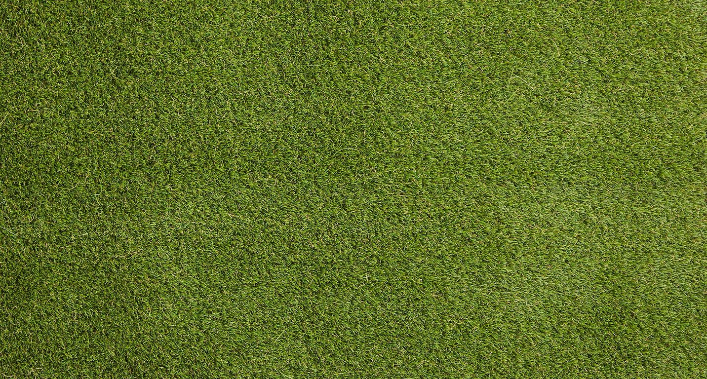 Gazon synthétique DAISY 4M, épaisseur 40.00mm, rouleau 4.00 m