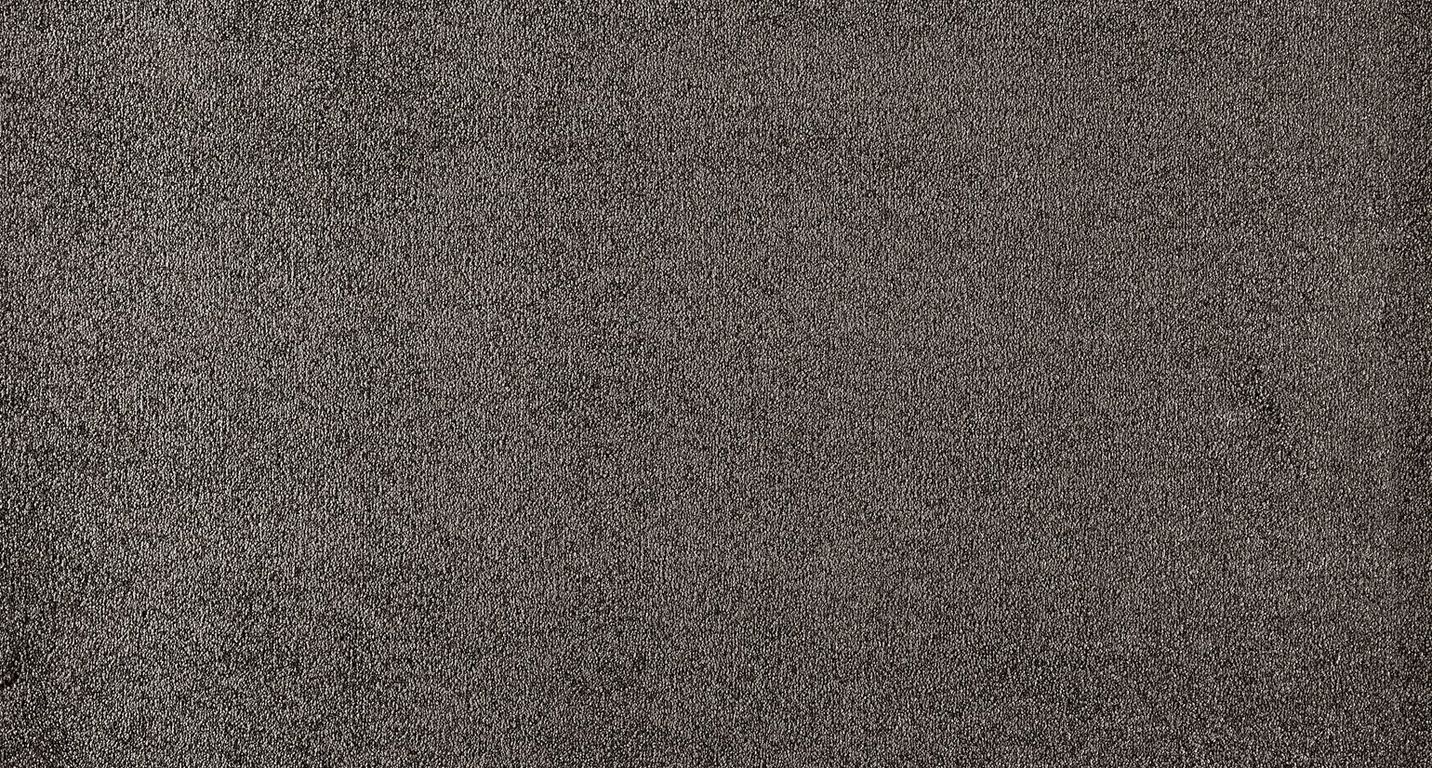 Moquette velours GENIUS , col gris foncé, rouleau 4.00 m