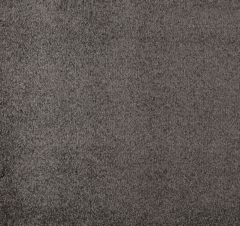 Moquette velours GENIUS , col gris foncé, rouleau 4.00 m