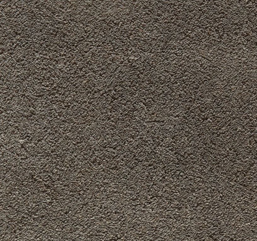 Moquette velours AMARYLLIS, col taupe, rouleau 4.00 m