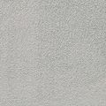 Gris clair 