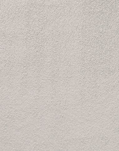 Moquette velours PRIMEROSE, col Gris clair , rouleau 4.00 m