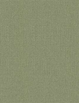 Papier peint TIBALT Caselio, Vinyle sur intissé décor Unis / Faux unis, vert doré