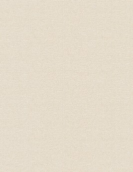 Papier peint TIBALT Caselio, Vinyle sur intissé décor Unis / Faux unis,  beige