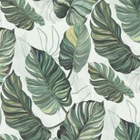 Papier peint CALOPE Coordonné, Intissé décor Floral / Végétal,  vert