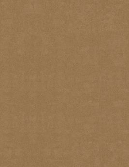 Papier peint MILA Montecolino,  décor Unis / Faux unis,  marron