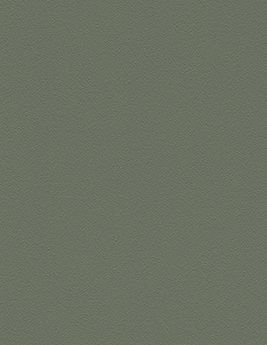 Papier peint RAFAEL Rasch, Vinyle sur intissé décor Unis / Faux unis, VERT