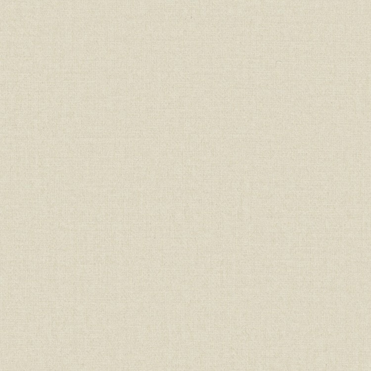 Papier peint RENZO Rasch,  décor Unis / Faux unis, beige