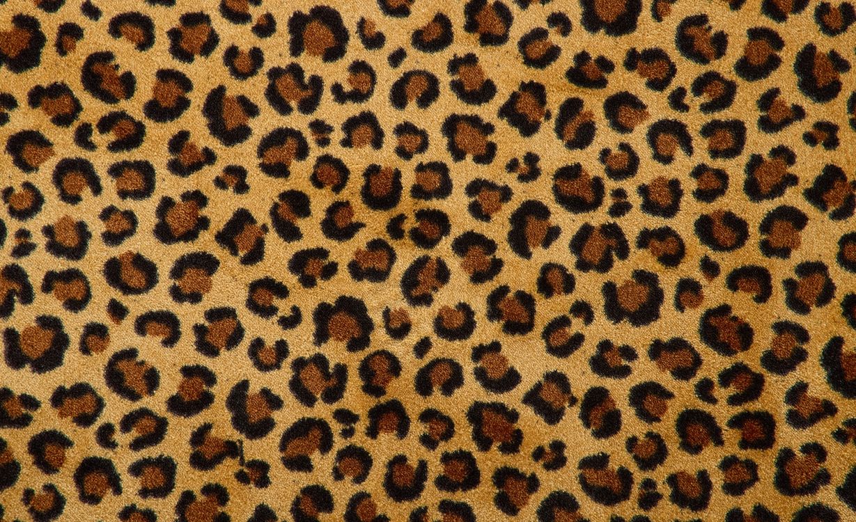 Moquette imprimée Léopard, col Beige et Marron, rouleau 4.00 m