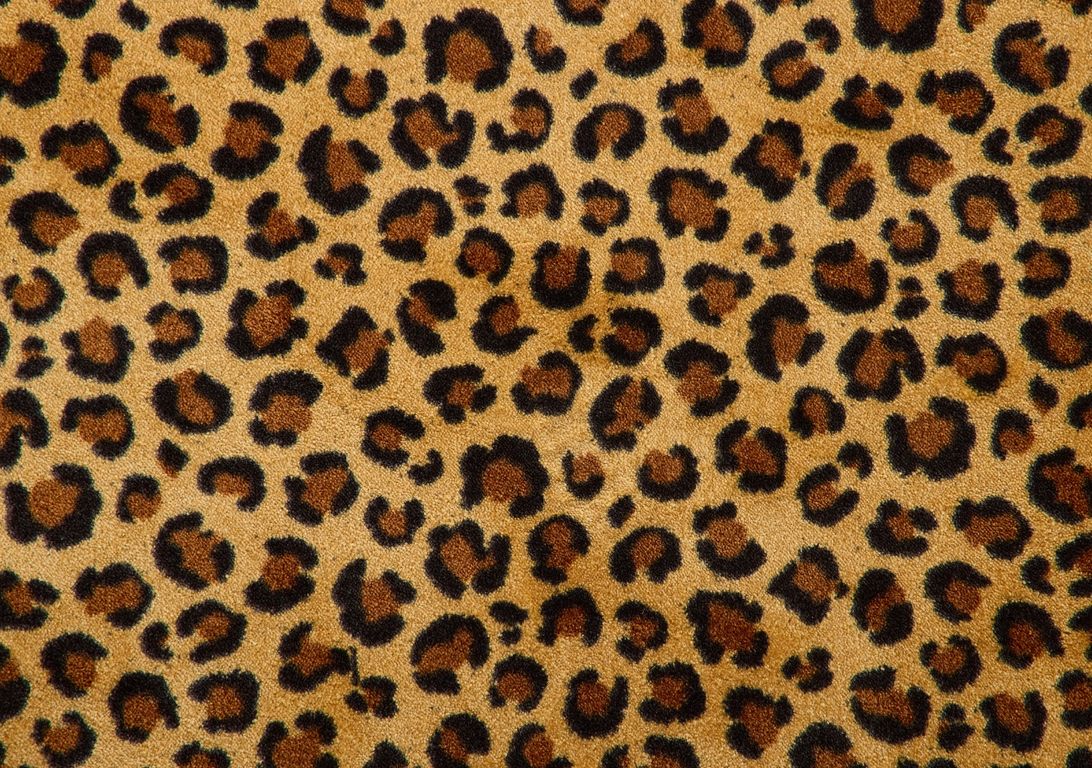 Moquette imprimée LEOPARD, col Beige et Marron, rouleau 4.00 m