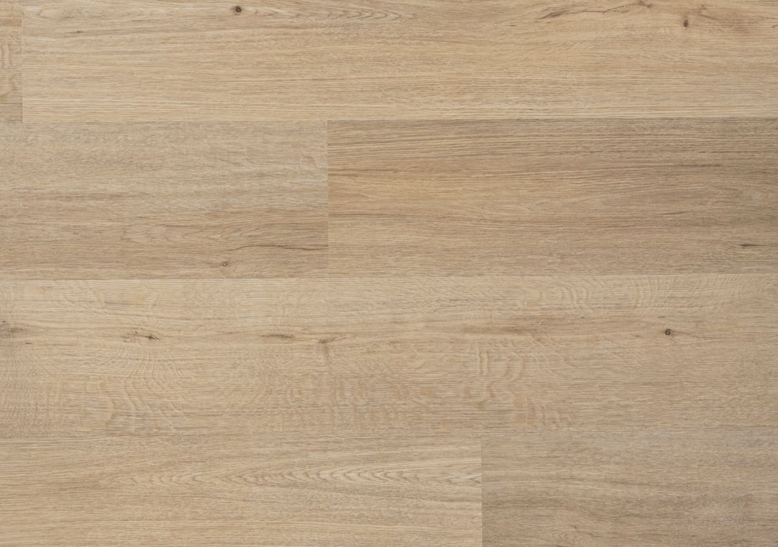 Sol vinyle TOLEDO , Bois chêne naturel, lame 18.00 x 122.00 cm