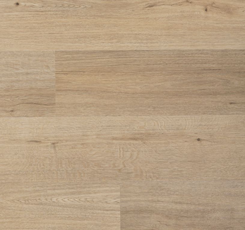 Sol vinyle TOLEDO , Bois chêne naturel, lame 18.00 x 122.00 cm