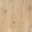 Sol vinyle PRIMA CLIC LAME , Bois chêne clair, lame 18.00 x 122.00 cm