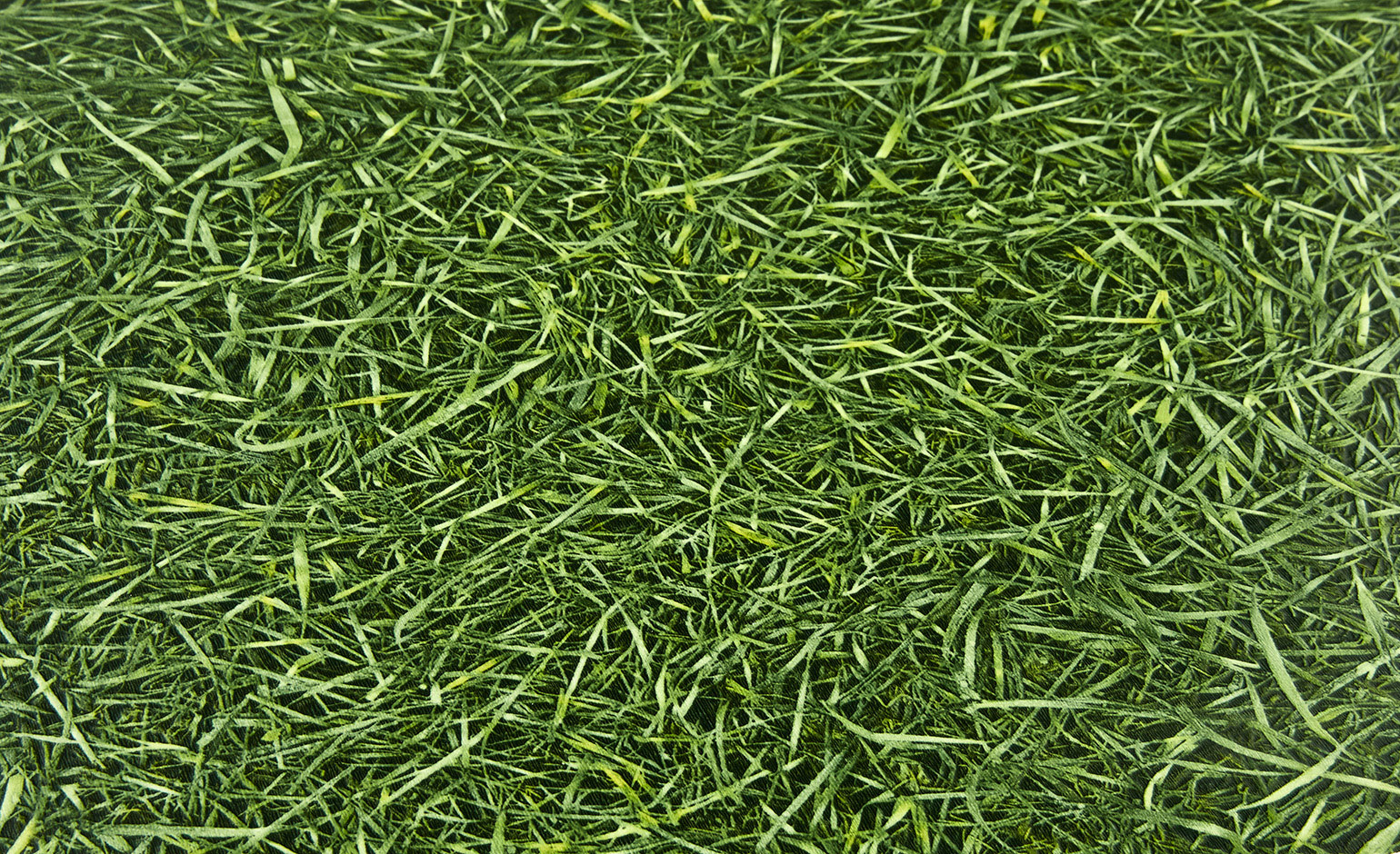 Sol vinyle rouleau BUBBLEGUM2 GRASS, Motif motif herbe, rouleau 2.00 m