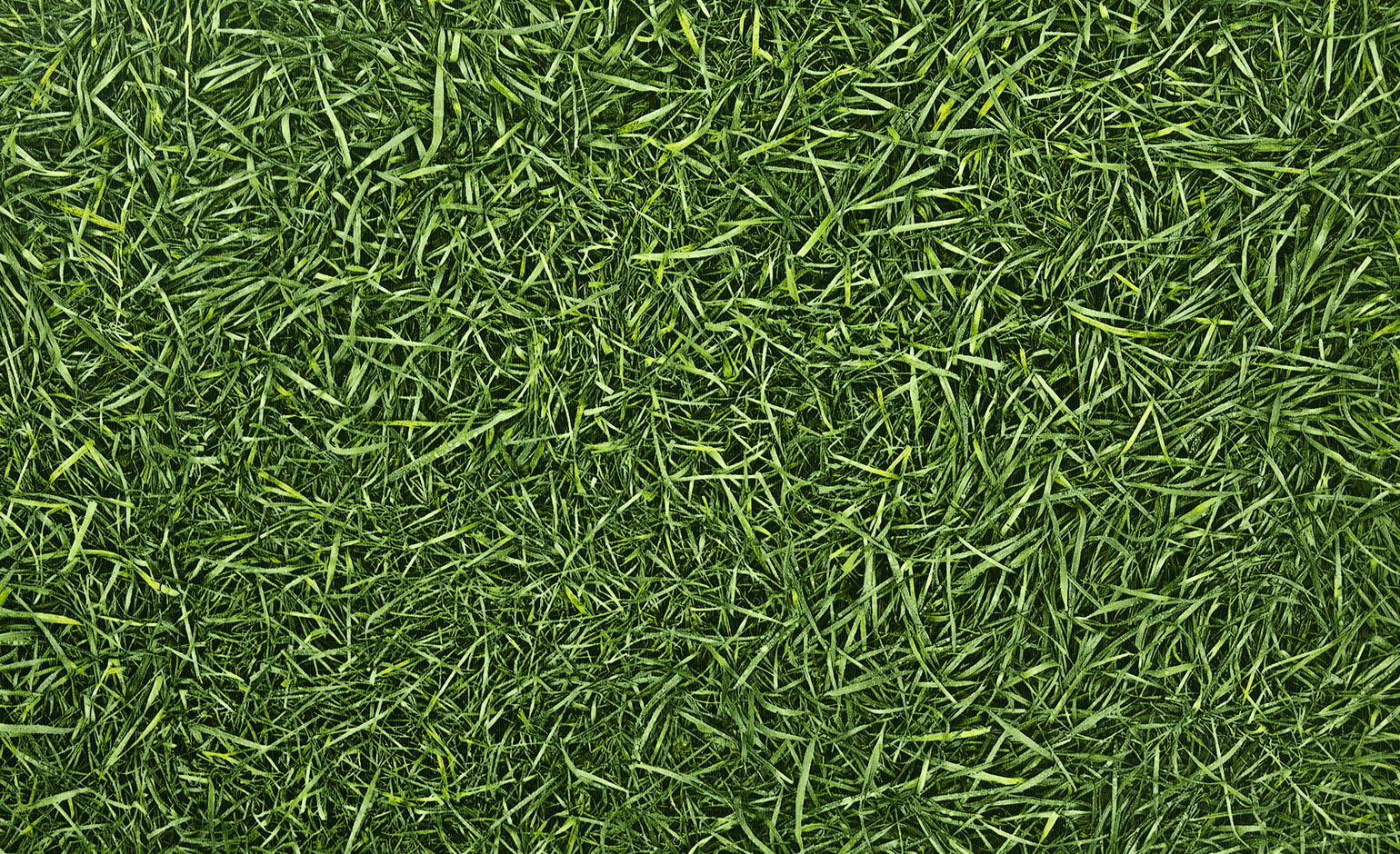 Sol vinyle rouleau BUBBLEGUM4 GRASS, Motif motif herbe, rouleau 4.00 m